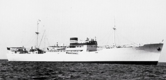 ARN75019380220001 VIATOR 