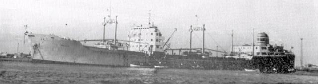 ARN75019570120001 ARICA