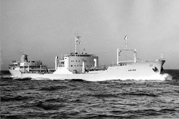 ARN75019580120001 ACINA