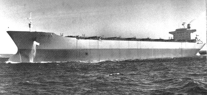ARN75019710120001 ARIEL