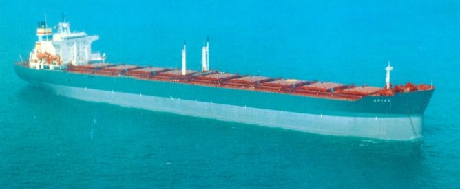 ARN75019830120002 ARIEL