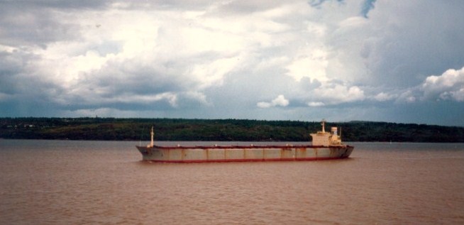 ARN75019880220001 EL ANCORA