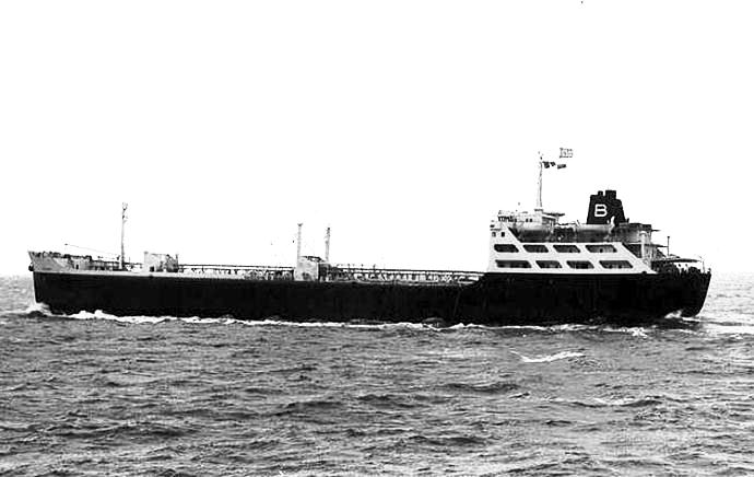 ARN75619580120001 TERNOY