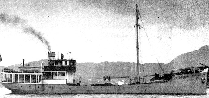 BRG20419380120001 STRAUM