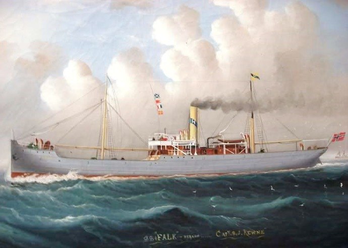 BRG20519040120001 FALK