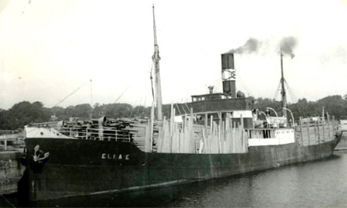 BRG21019250120001 ELNA E