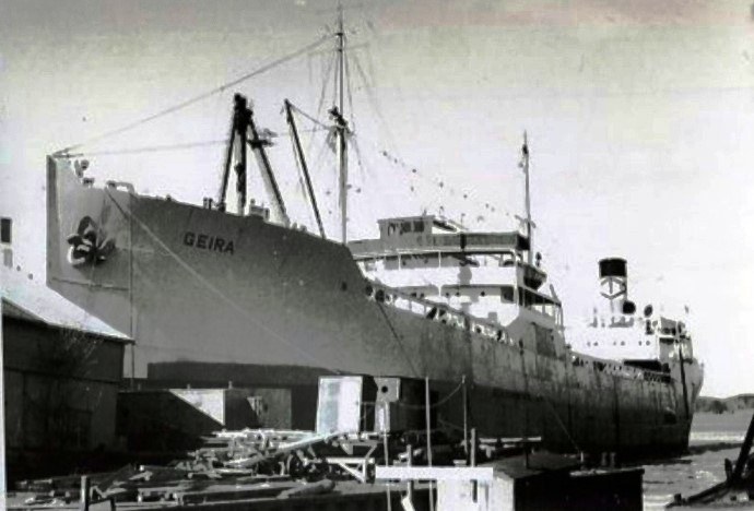 BRG21019460120001 GEIRA