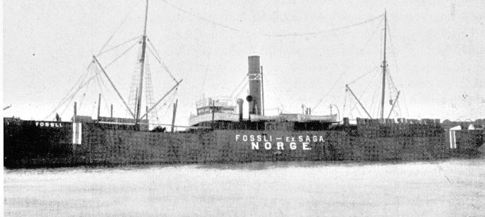 BRG21919160320001 FOSSLI
