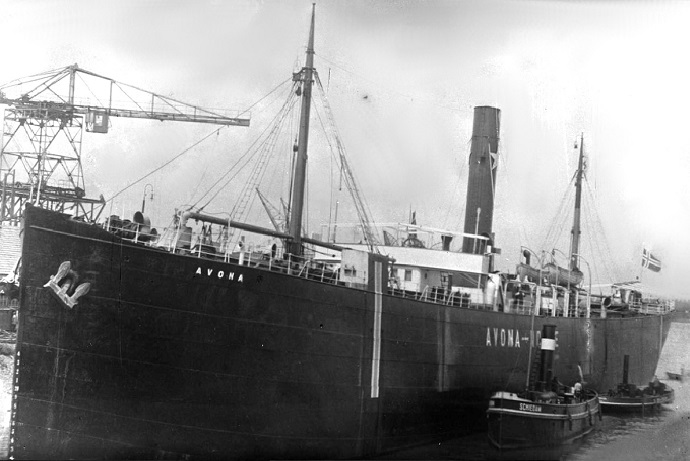 BRG22318970120001 AVONA