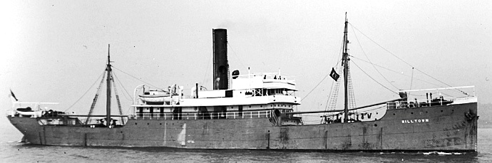 BRG51719160220001 VIKING