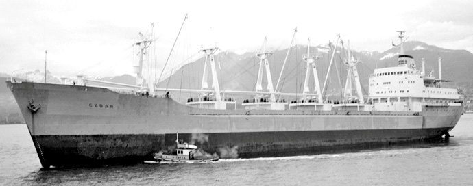 BRG51719630220001 CEDAR
