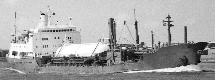 BRG51719710120001 BOW ELM
