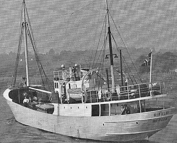 BRG52019390120001 SIBALDI