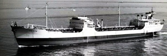 BRG52219500420001 NERVA
