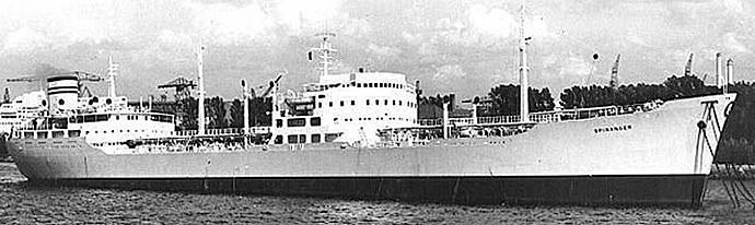BRG52519580220001 SPINANGER