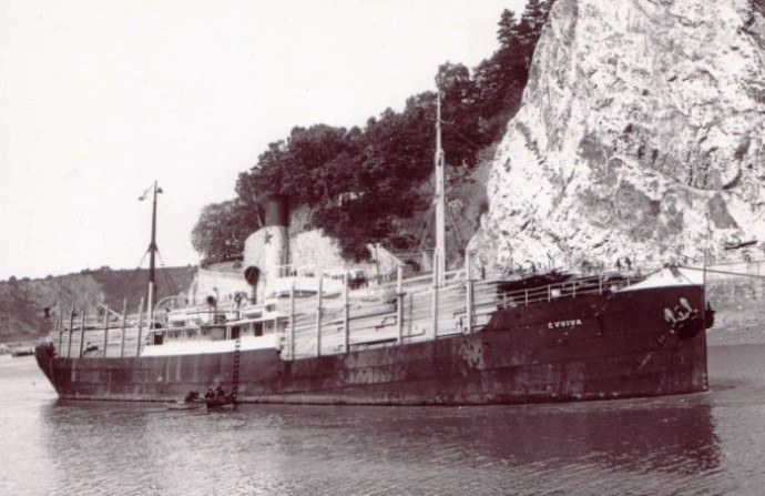 BRG53119220220001 EVVIVA 