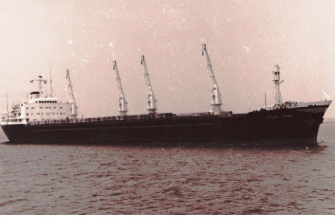 BRG53119650120001 STAR TARO