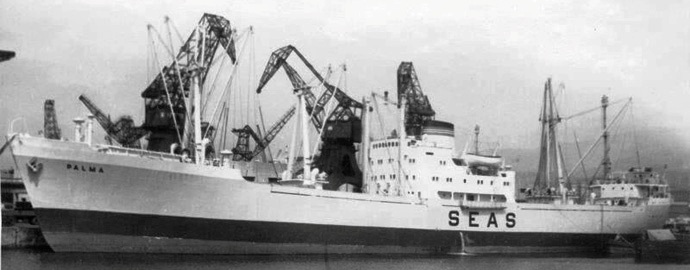BRG53419550220001 PALMA