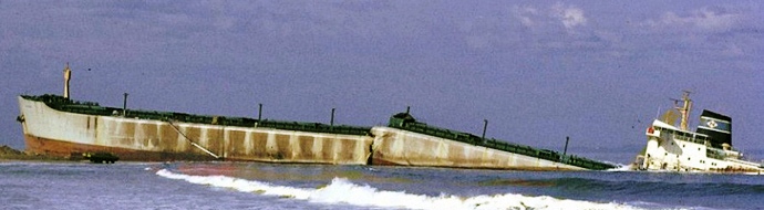 BRG53419670120003 SYGNA