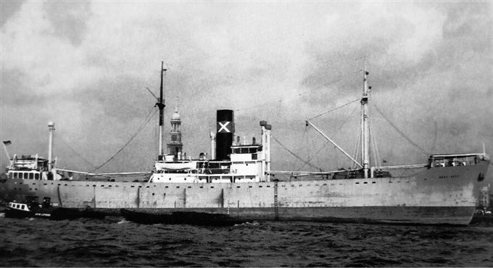 BRG53719510120001 ANNE REED