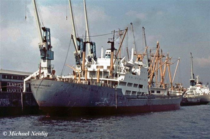 BRG53719690120001 NEPTUNE AQUAMARINE