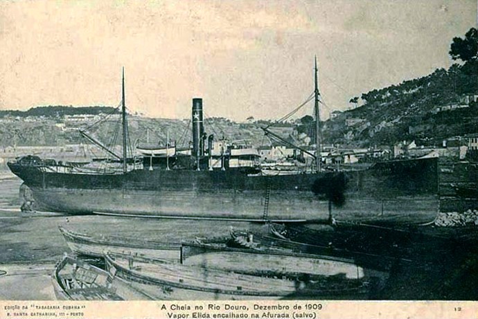 BRG54019010120001 ELLIDA