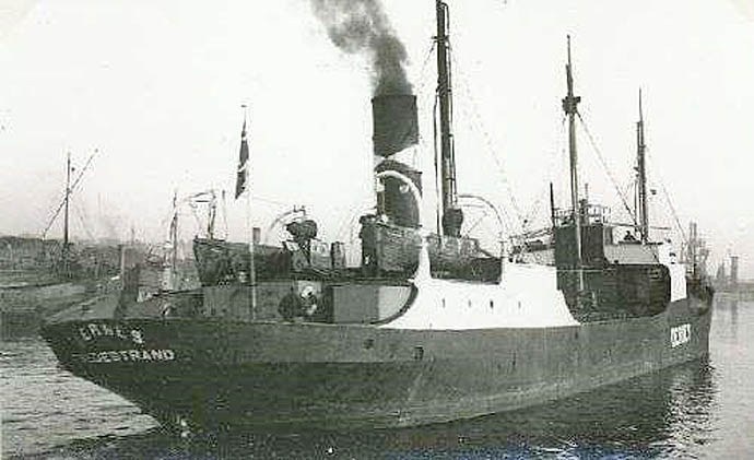 BRG54119340320001 STEIN