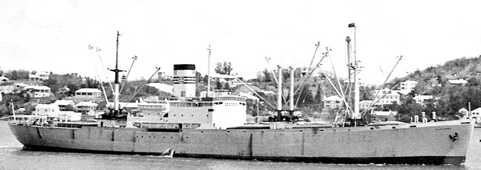 BRG54119470120001 ELIN HORN