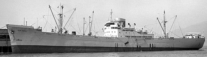 BRG54119490120001 ELIN HAVEN