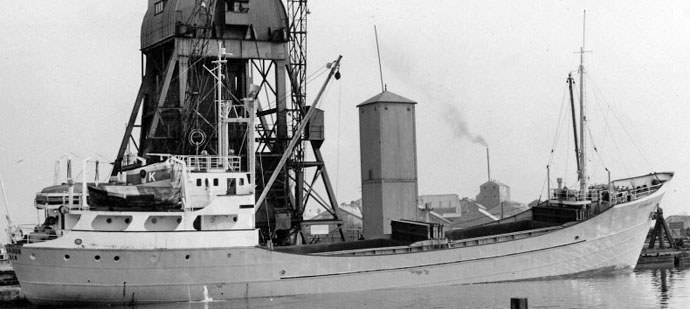 BRG54119580220001 STEINHAUK