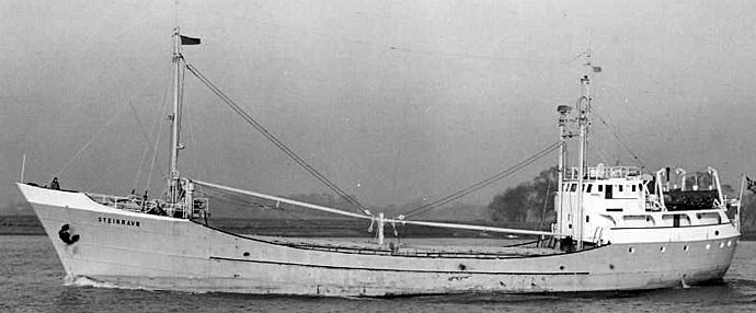 BRG54119590120001 STEINRAVN