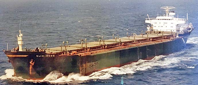 BRG54119680120001 ELIN HORN