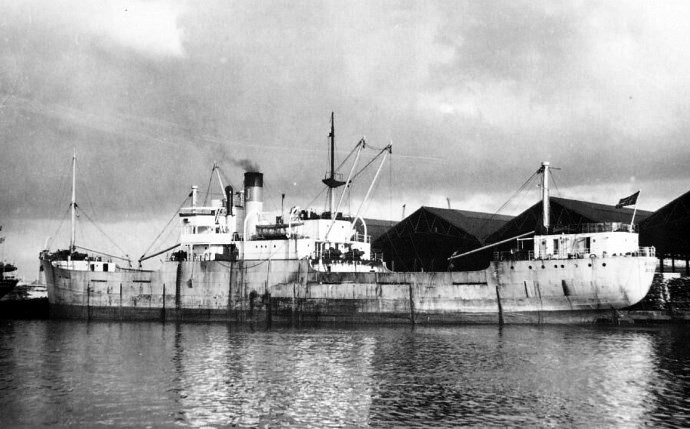 BRG54219500120001 RINGHORN