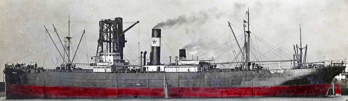 BRG56019110120002 ARNA