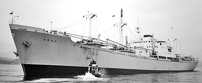 BRG56019630120002 ARNA