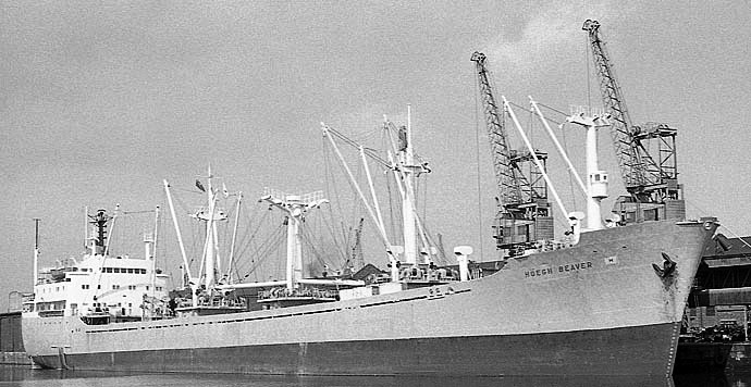 BRG56719690120002 HOEGH BEAVER
