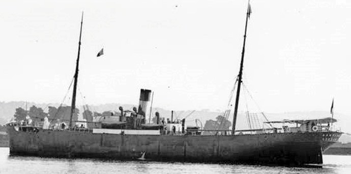 BRG56819150620001 BORG