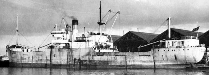 BRG54819480120001 RINGHORN 