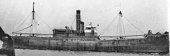 BRG57919330120001 PROCYON