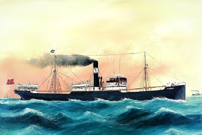 BRG58119190120001 ALBATROS