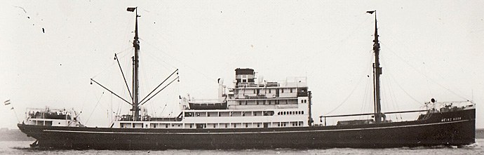 BRG58219480120001 LIVARDEN