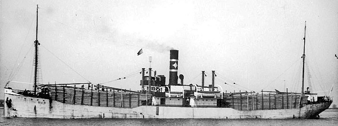 BRG58419190120001 RISV├åR