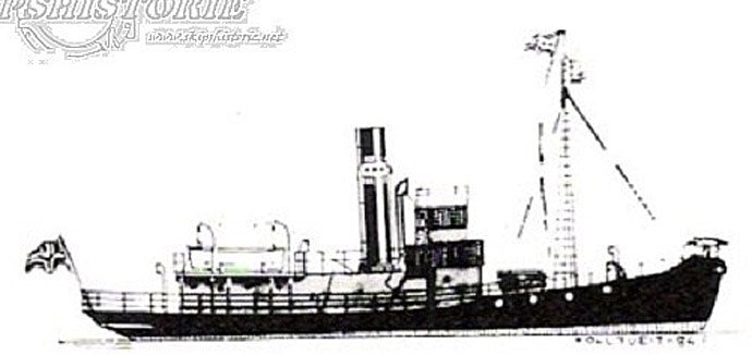 BAS90319240120001 TIBURON