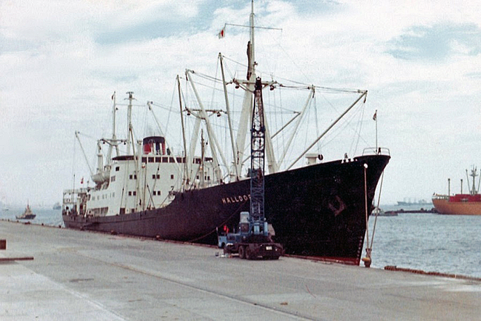 DRA43819570120003 HALLDOR