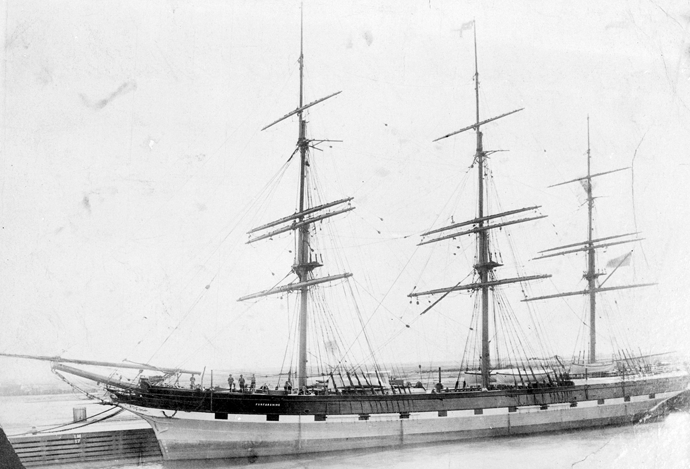 DRA45019220220002 ALEXANDRA.png