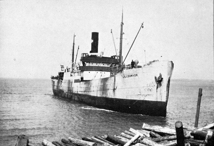FAR30119340220001 LILLGUNVOR