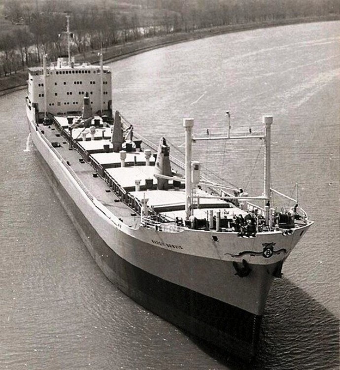 FAR30119600120001 MARGIT BROVIG