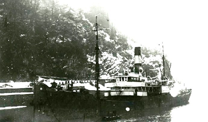 UKJ10119040520001 VIATOR