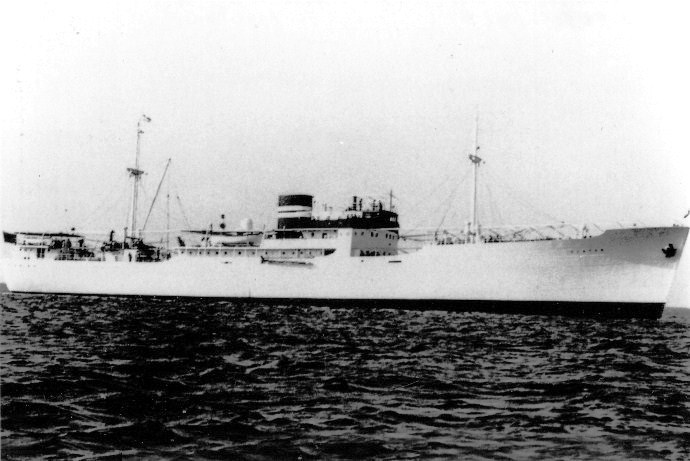 UKJ10119380520001 VIATOR