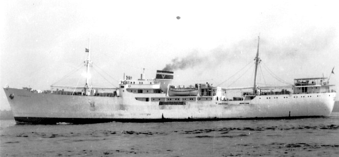 UKJ10119500320001 VIATOR